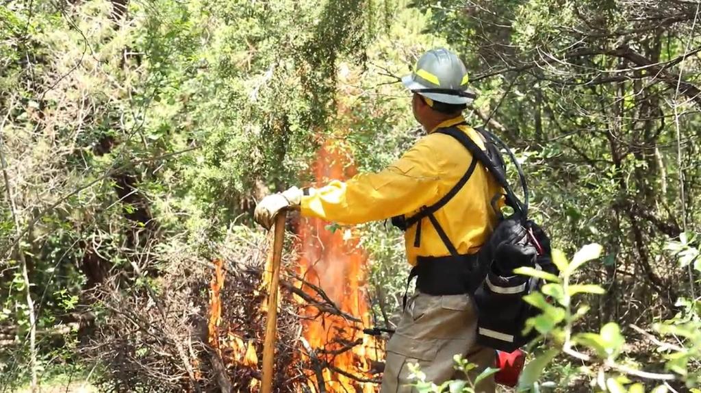 A brush pile burns under the watchful eye of a trained fire manager.